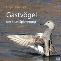 Gastvögel der Insel Spiekeroog