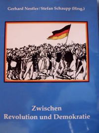 Zwischen Revolution und Demokratie