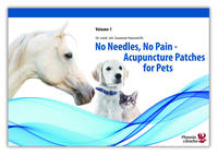 No Needles, No Pain - Acupuncture Patches for Pets