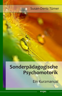 Sonderpädagogische Psychomotorik