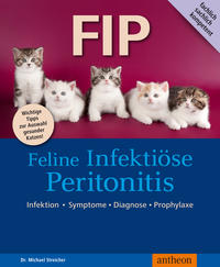 FIP  Feline Infektiöse Peritonitis