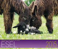 Esel Kalender 2015