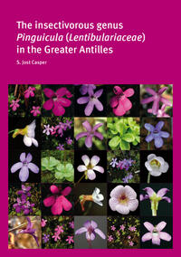 The insectivorous genus Pinguicula (Lentibulariaceae) in the Greater Antilles