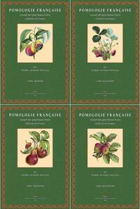 Pomologie Française recueil des plus beaux fruits cultivés en France