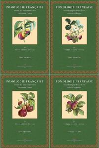 Pomologie Française recueil des plus beaux fruits cultivés en France