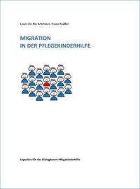 Migration in der Pflegekinderhilfe