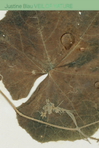Justine Blau: Veil of Nature