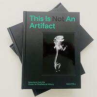 This Is Not An Artifact