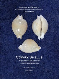 Cowry Shells