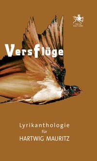 Versflüge