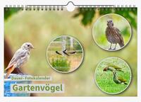 Dauer-Kalender "Gartenvögel"