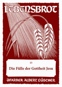 Die Fülle der Gottheit Jesu - 13