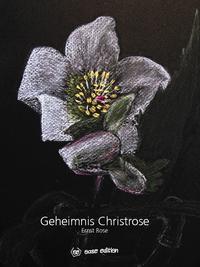 Geheimnis Christrose