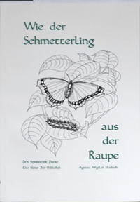 Wie der Schmetterling aus der Raupe