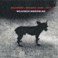 ZAGINIENI / MISSING 2006 - 2017