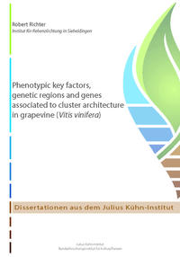 Phenotypic key factors, genetic regions and genes associated to cluster architecture in grapevine (Vitis vinifera)