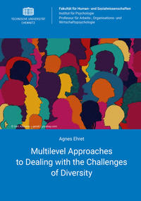 Multilevel Approaches to Dealing with the Challenges of Diversity