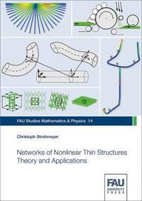 Networks of Nonlinear Thin Structures Theory and Applications