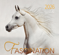 Cover-Abbildung für Fascination 2026 (99999---978-3-96412-079-3)