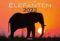Elefanten 2022