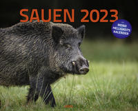 Sauen 2023