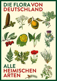 Vorzugsausgabe: Die Flora von Deutschland. Alle heimischen Arten