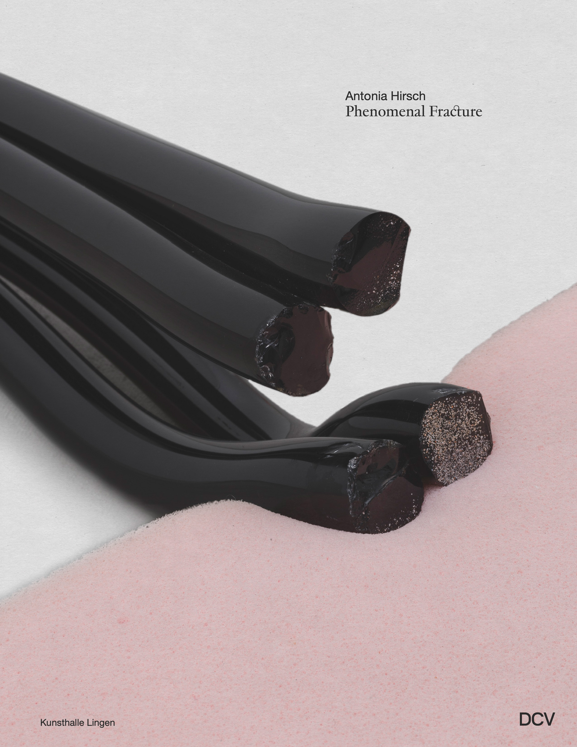 Cover-Abbildung für Antonia Hirsch – Phenomenal Fracture (Softcover/Paperback) (99999---978-3-96912-232-7)