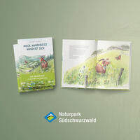 Meck Wunderfitz wundert sich