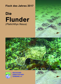 Die Flunder (Platichthys flesus)