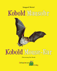 Kobold Mausohr - Kobold Mouse-Ear