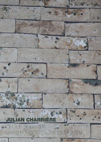 Julian Charrière - On The Sidewalk, I Have Forgotten The Dinosauria