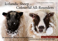 Icelandic Sheep - Colourful All-Rounders