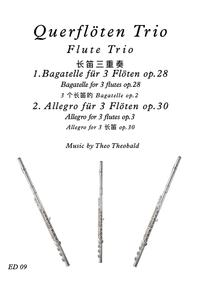 Querflöten Trio