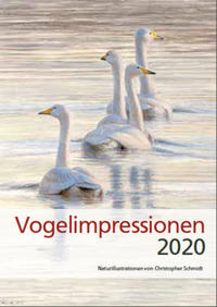 Vogelimpressionen 2020