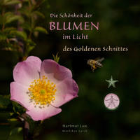 Die Schönheit der Blumen im Licht des Goldenen Schnittes