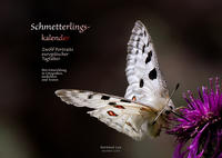 Schmetterlingskalender