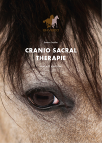 CRANIO SACRAL THERAPIE bei Pferden