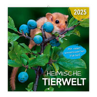 Trötsch Broschürenkalender Heimische Tierwelt 2025
