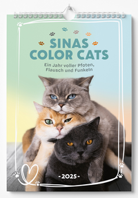 Sinas Color Cats - Ein Jahr voller Pfoten, Flausch und Funkeln