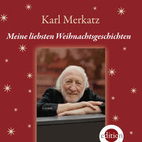 Meine liebsten Weihnachtsgeschichten