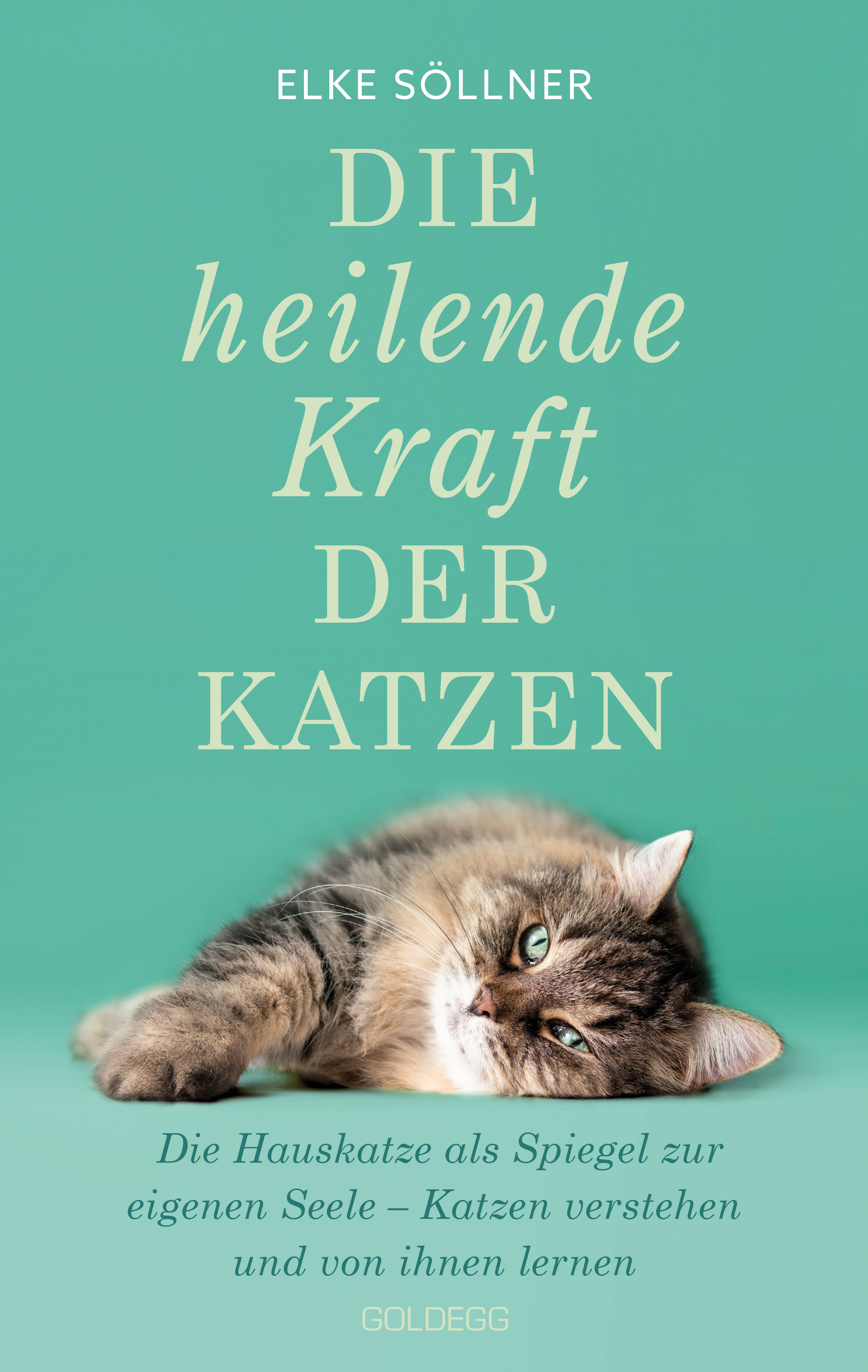 Cover-Abbildung für Die heilende Kraft der Katzen, 2. Auflage, Bestseller (Softcover/Paperback) (99999---978-3-99060-503-5)
