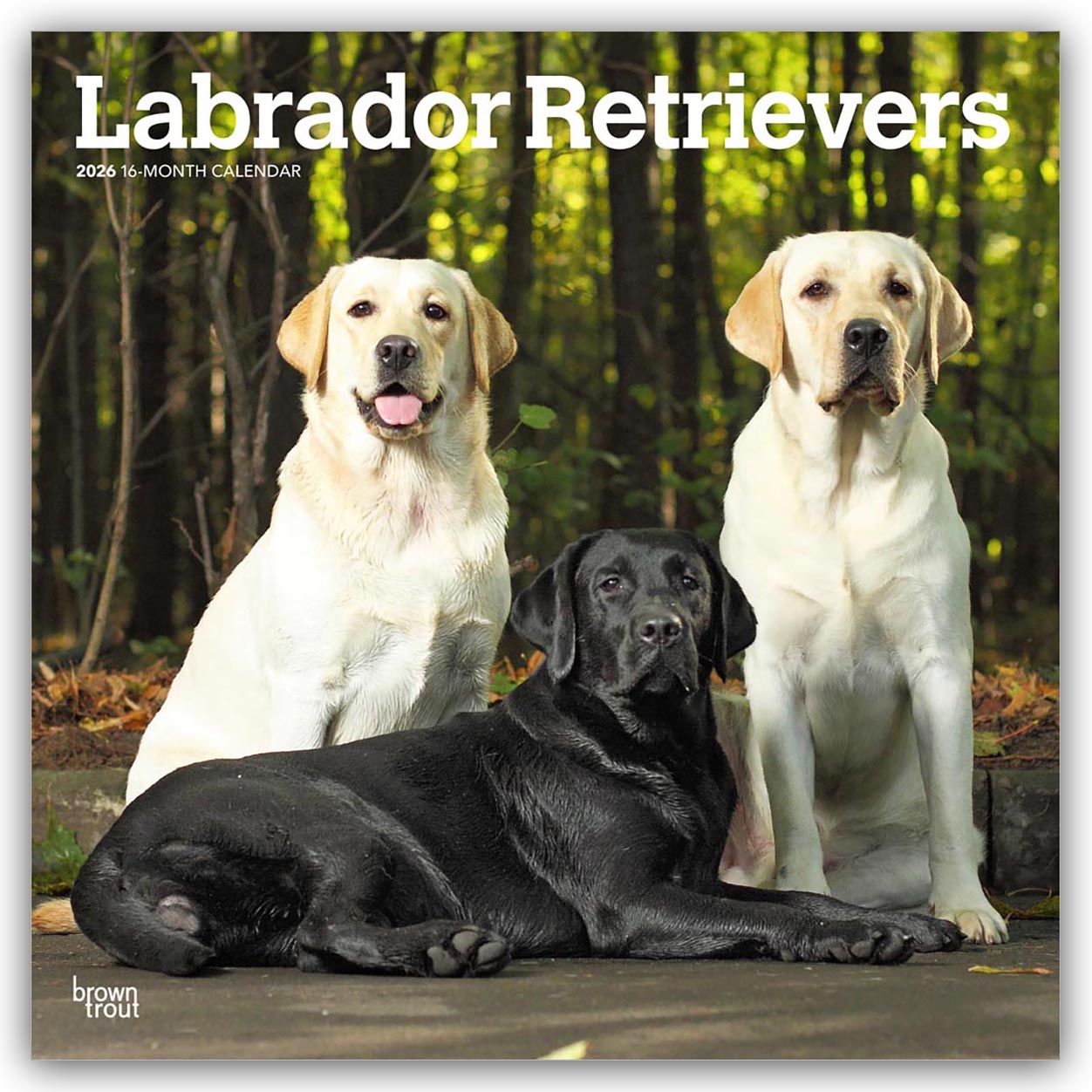 Cover-Abbildung für Labrador Retrievers – Labrador Retriever 2026 – 16-Monatskalender (99999---979-8-3307-0422-4)