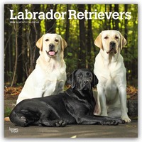 Cover-Abbildung für Labrador Retrievers – Labrador Retriever 2026 – 16-Monatskalender (99999---979-8-3307-0422-4)